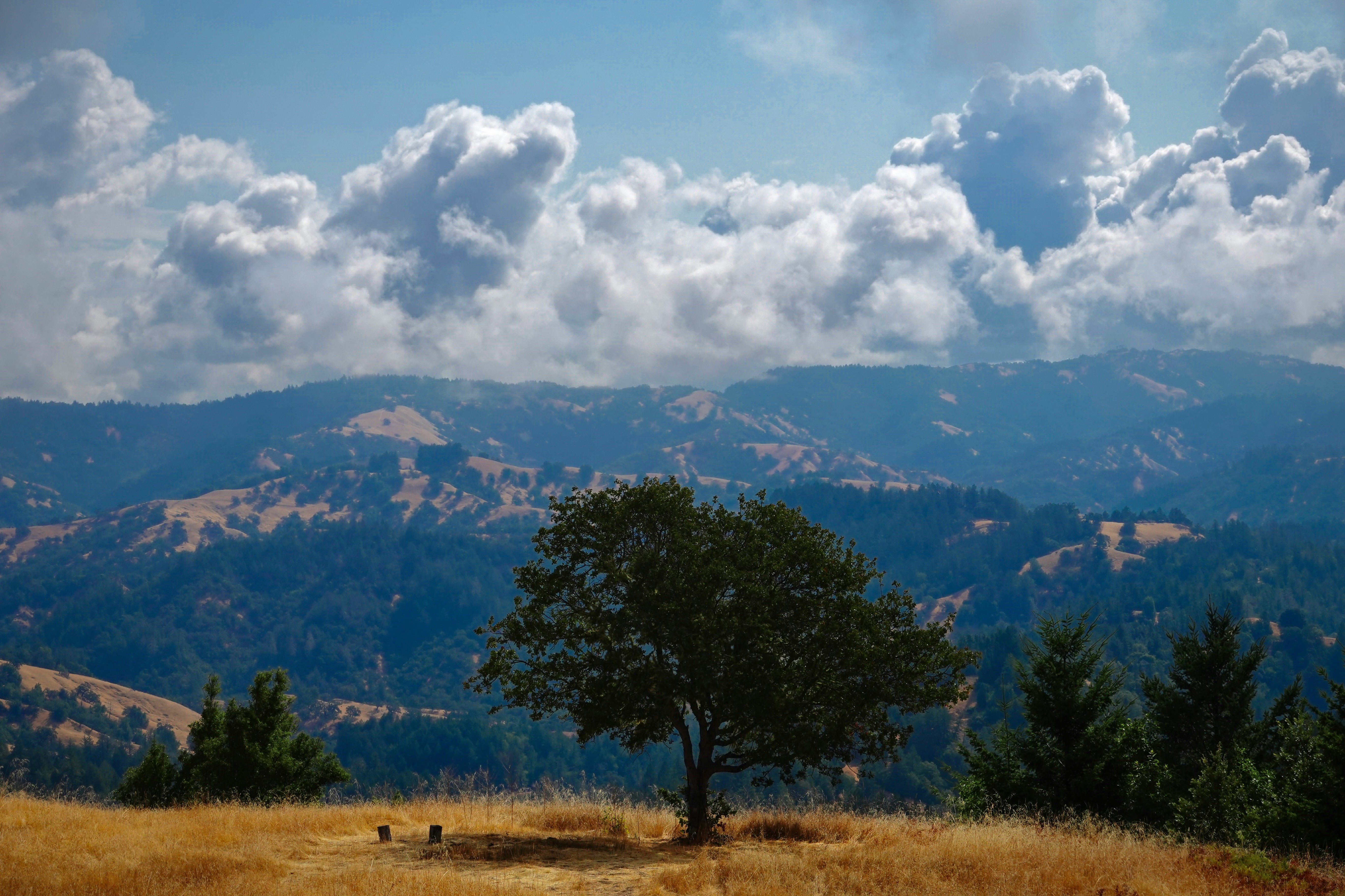 Sonoma County landscape